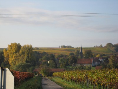 Urlaub in den Weinbergen in der Pfalz